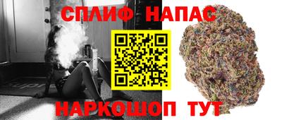 СК Рузаевка