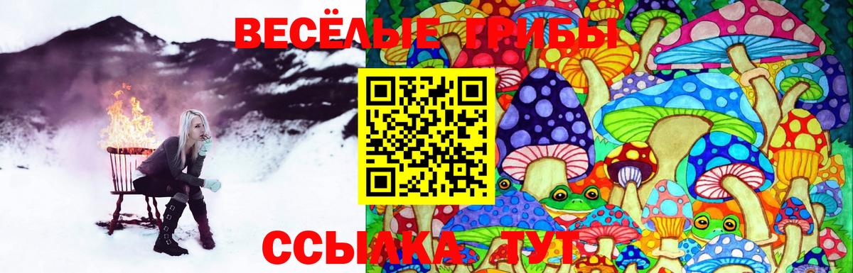 продажа наркотиков  Вход с VPN  Новый Уренгой  Галлюциногенные грибы Cubensis  Псилоцибиновые грибы прущие грибы 